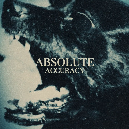 MORSURE - Absolute Accuracy