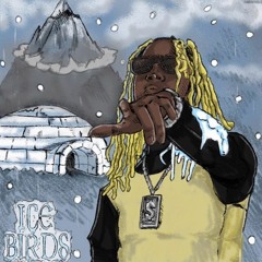IceBirds x Money Rich - Water Prod.by Icewater Black