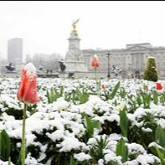 sometimes it snows in april. (lyrics in description)