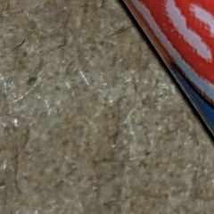 Swallow That - Habits