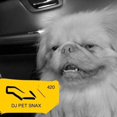 [DEBUT STAGE] future_falkor: DJ PET SNAX (아주 멋진 개) @SBS Inkigayo_2024_06_30