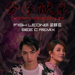 梁靜茹 Fish Leong - 分手快乐 Happy Breakup (BEE C Remix)