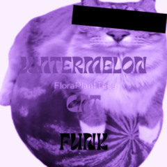 WATERMELON CAT FUNK (SLOWED AND REVERBED)