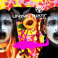 Peaches - Rosa Helikopter (Unsyn X Matzic Uptempo Edit) FREE DOWNLOAD