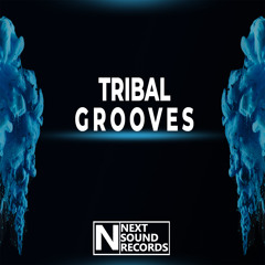 Tribal Grooves (Mastering Mix)