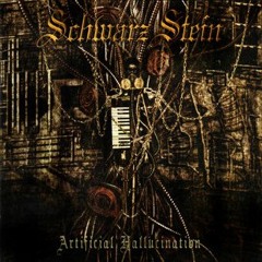 Schwarz Stein - Last Hallucination