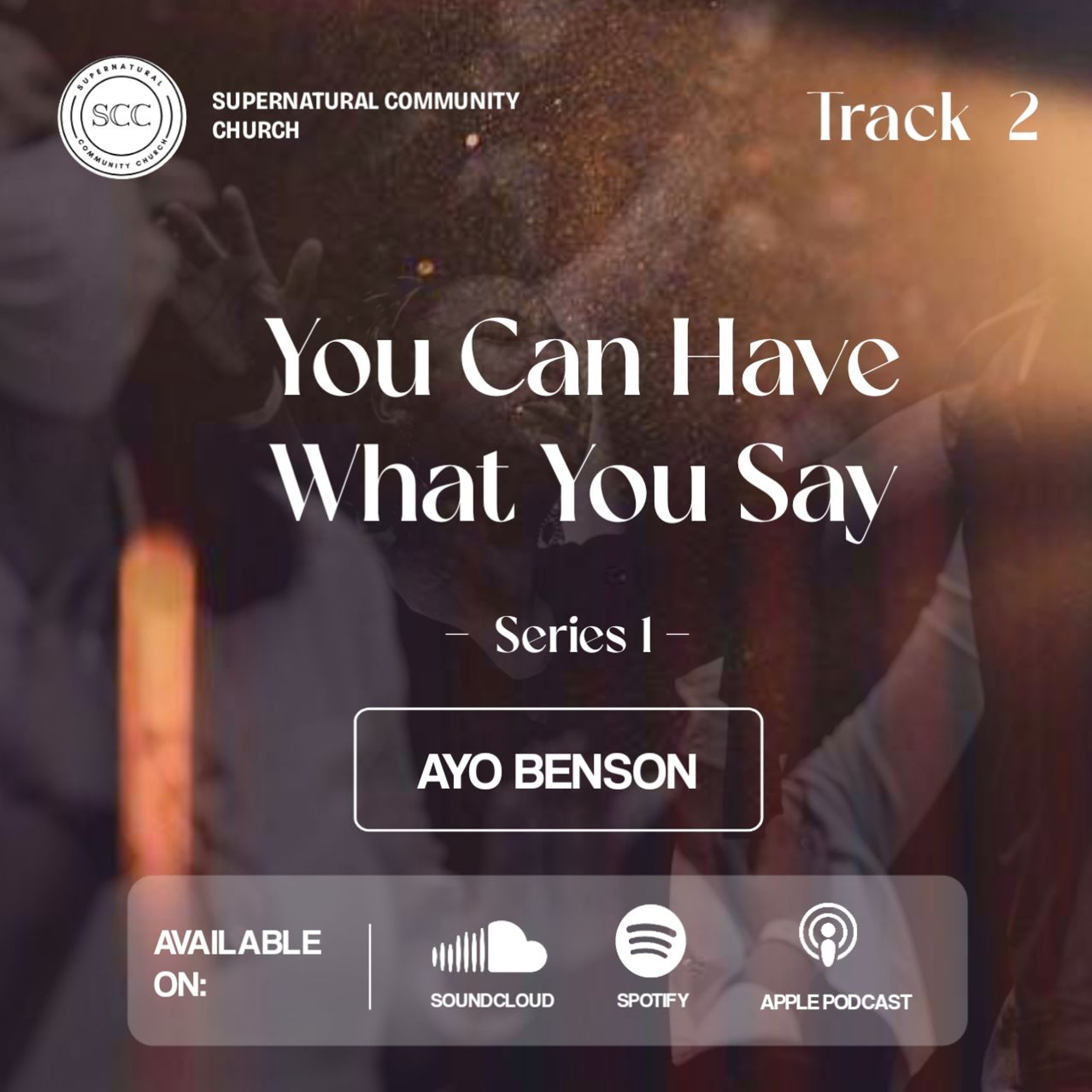 You Can Have What You Say Series 1 (2)