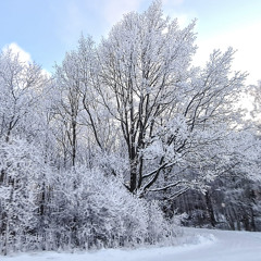 Coaching in winter. I got money and I knew GOD wanted me to exercise.
