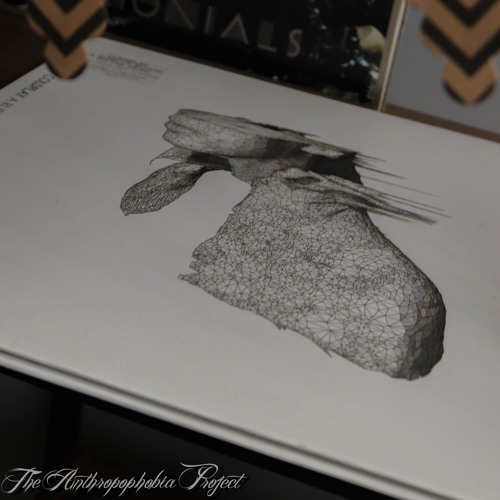 Coldplay - The Scientist (Cover by The Anthropophobia Project)