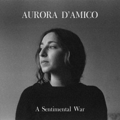 A Sentimental War - Aurora D'Amico