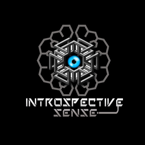 Introspective Sense - NN