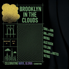 Brooklyn In The Clouds