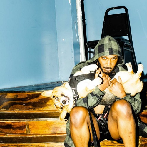 JPEGMAFIA - WHAT THE HIP HOP HELL IS THIS?