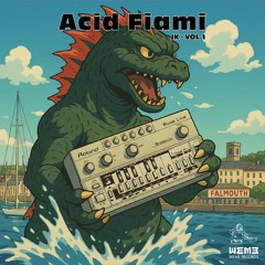 WeMe093 JK "Acid Fiami Vol 1"  B2 Acid Fiami
