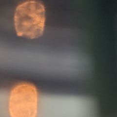 black rose, silver thorn