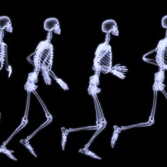 MS MR- Bones (Leeka Remix)