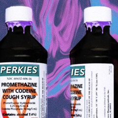 PERKIES ~ ZayXavier ft G$lice