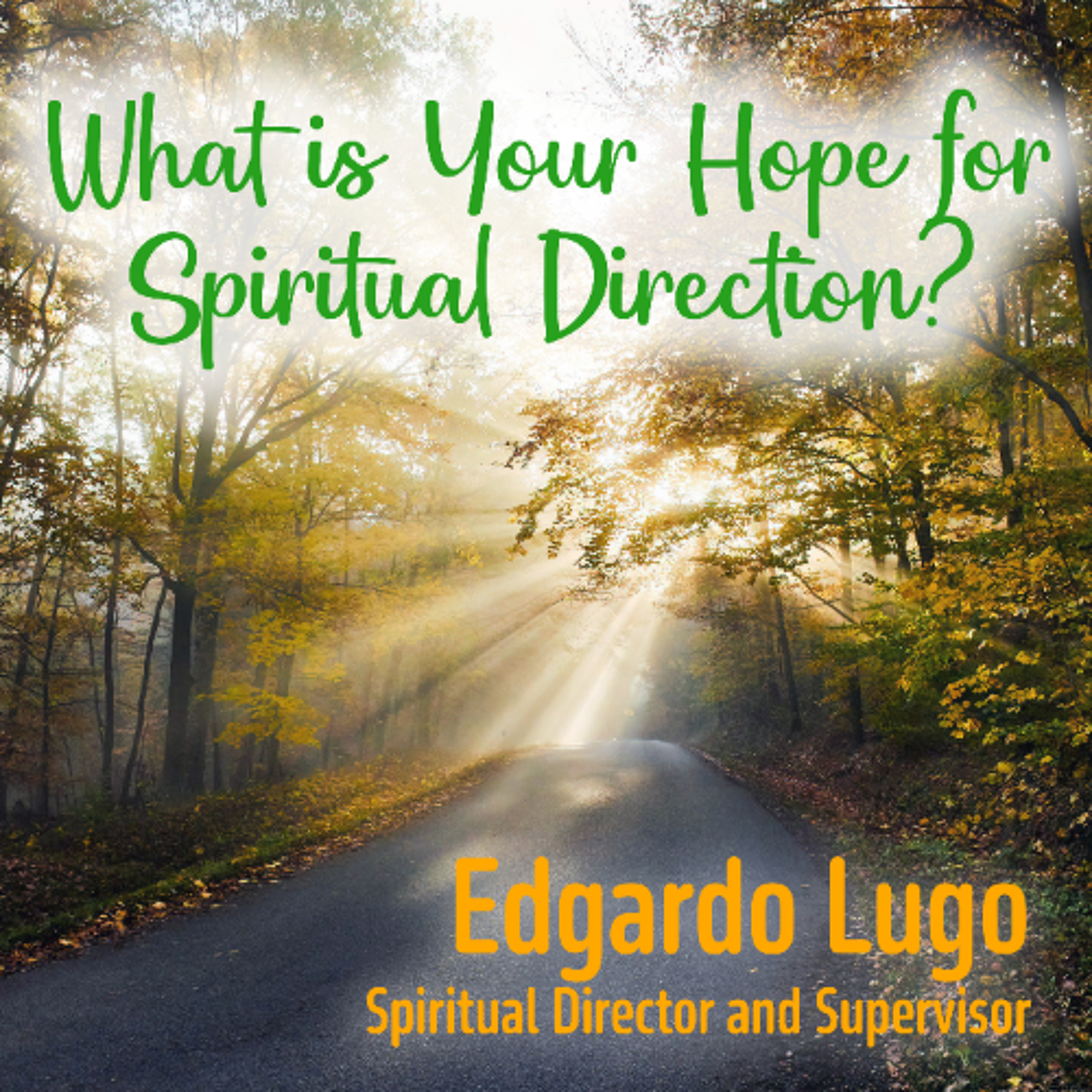 What is Your Hope for Spiritual Direction? #7 (Edgardo Lugo)