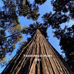 Toshihiko Mori - Sei (Album Preview)