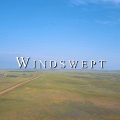 Windswept