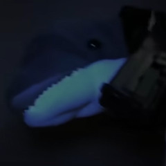 dolphins ft fauxf6r prod 2xdev