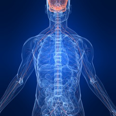 Pranayama BREATHBEAT___/mveda\