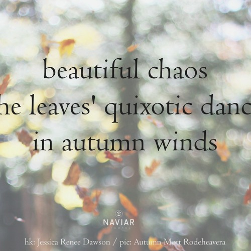 The Quixotic Dance Of The Autumn Leaves (NaviarHaiku467)