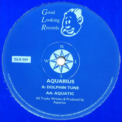 Aquarius - Aquatic