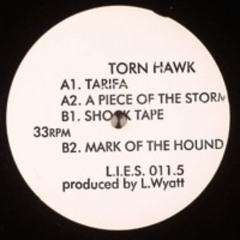 A Piece of the Storm