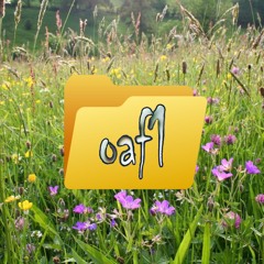Oaf1 Folder📁