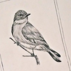 با دل چون کبوترم.mp3