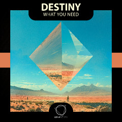 Destiny - Leave You Alone (Lizplay Records)