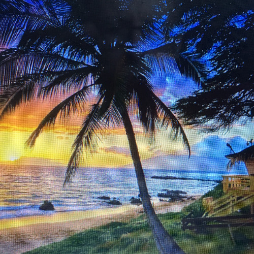 THE SWEETEST TABOO ...........cover