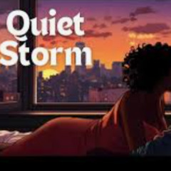 Quiet Storm #19 (New Skool/Old Skool R&B)