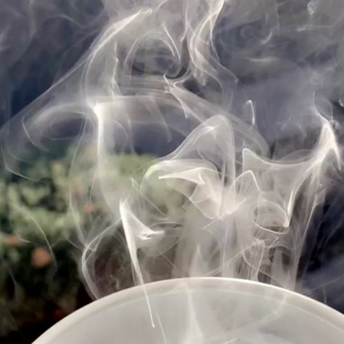 While It Lasts (prod. sorrow bringer)