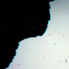 transitionalbells (demo)