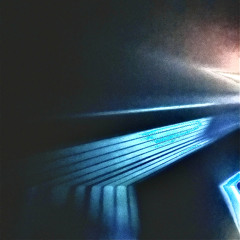 SSPARKYY