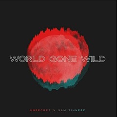 World Gone Wild by Sam Tinnesz