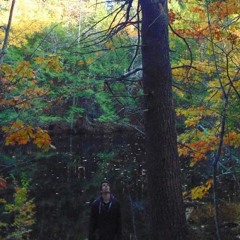 Letters All The Time