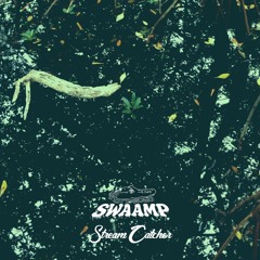 Stream Catcher - SWAAMP