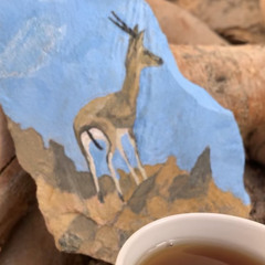 لوحة مدهشة - سفر الدغيلبي