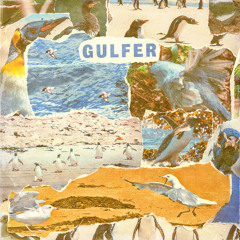 Gulfer - "Nature Kids"