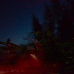 Day 2497 (End of Time)