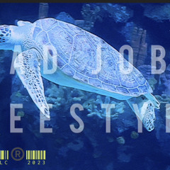 bad job jodii freestyle