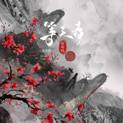 等天青 (动感版)