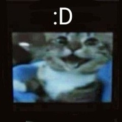 digicore snippet (slowed)