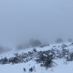 She gone be the one Pt1