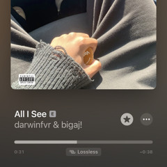 bigaj!_All i see_slowed
