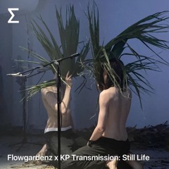 Flowgardenz x KP Transmission: Still Life