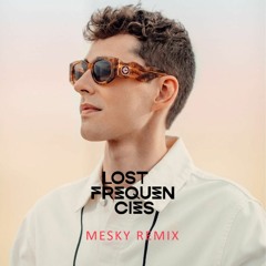 Questions - Lost Frequencies (feat. James Arthur) [Mesky Remix]